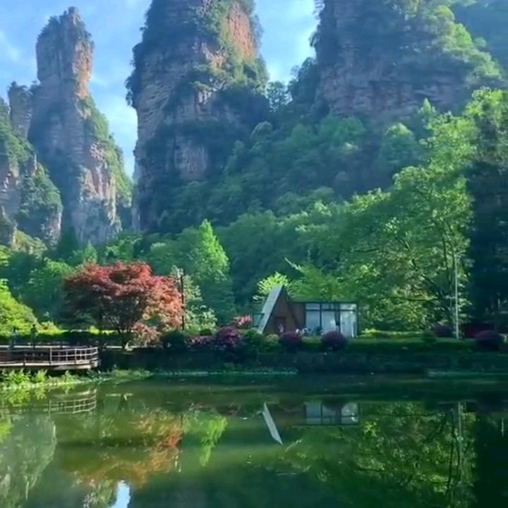 杨中华