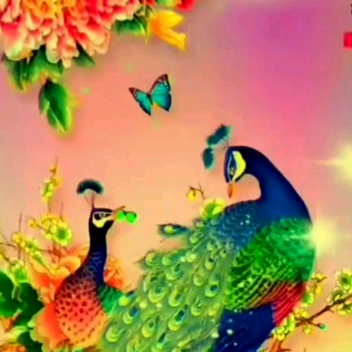 王梅花谢谢大家的关注