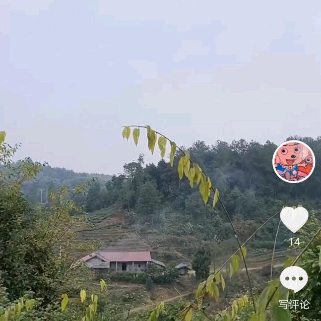 往事清零，爱恨随意