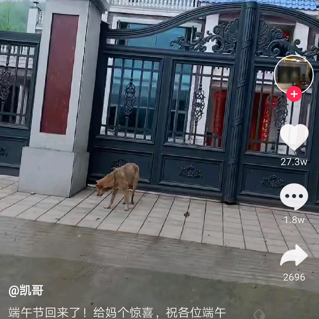 《再创辉煌》