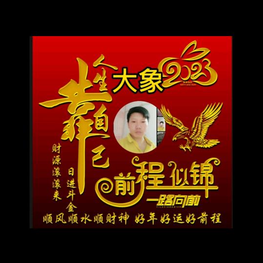 豫东大象