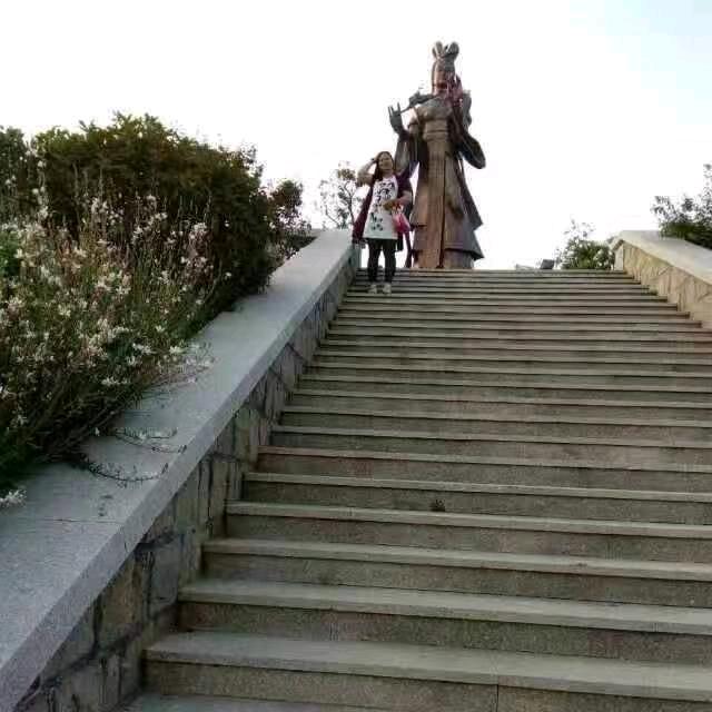 红王子锦带，丁香杯苗专卖