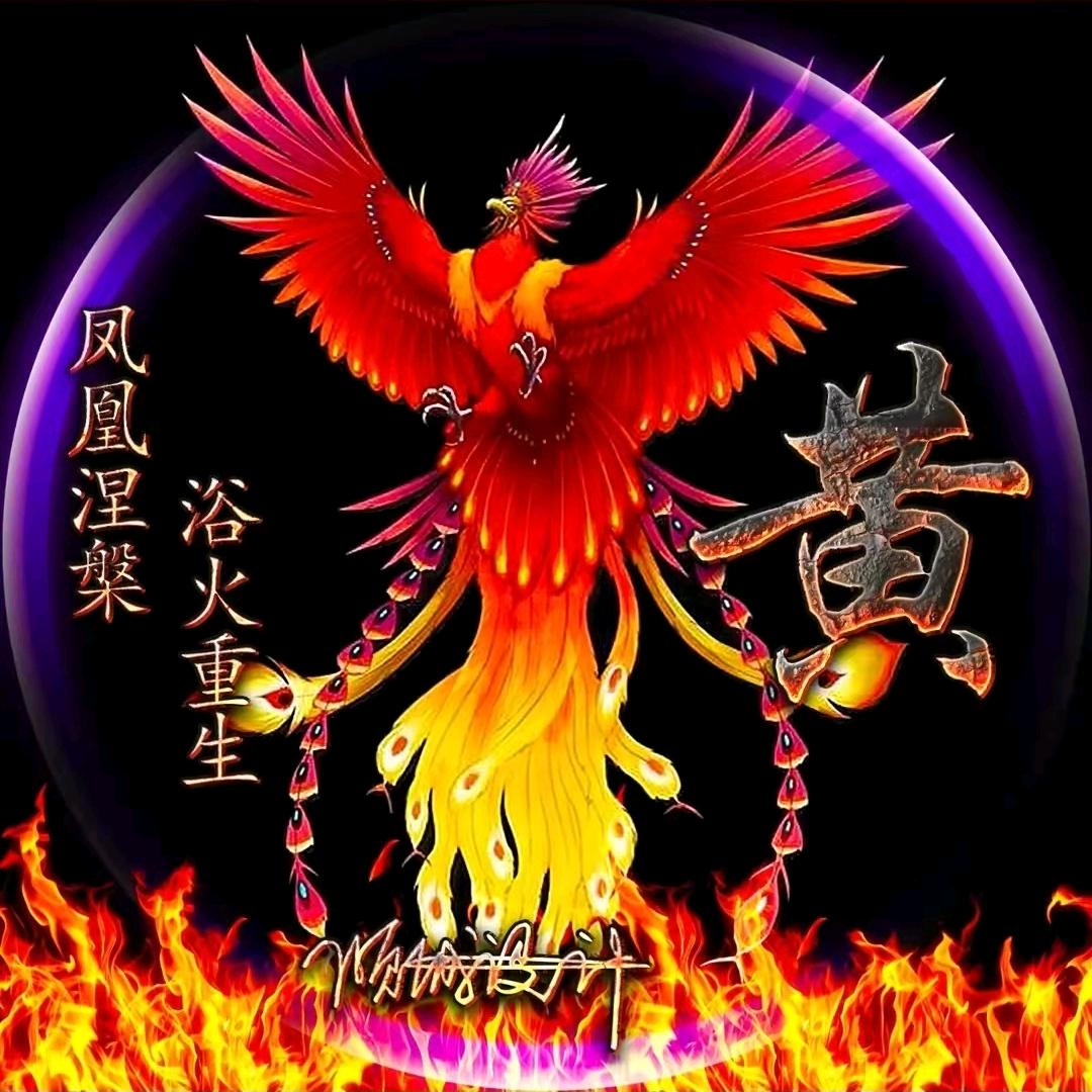 情满大地