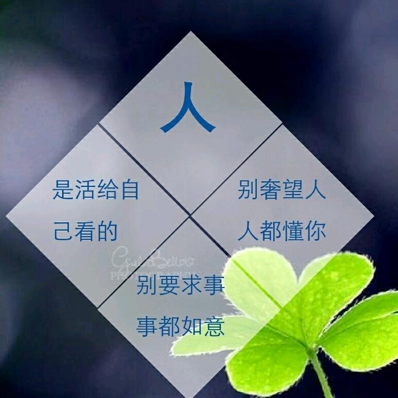 静心思语