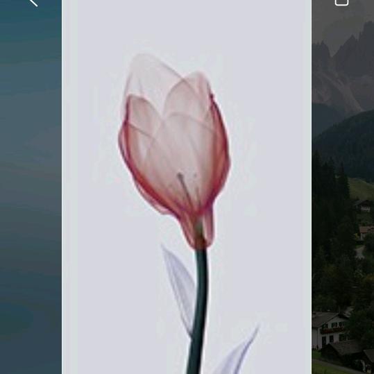 康德养生会馆