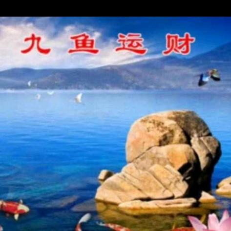 天天好运