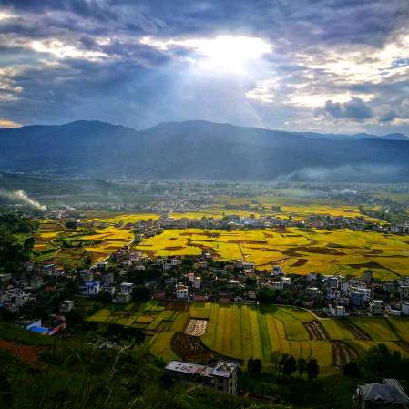 风景