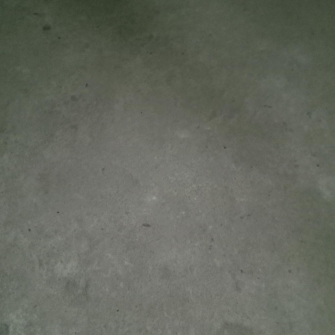 杨光钦