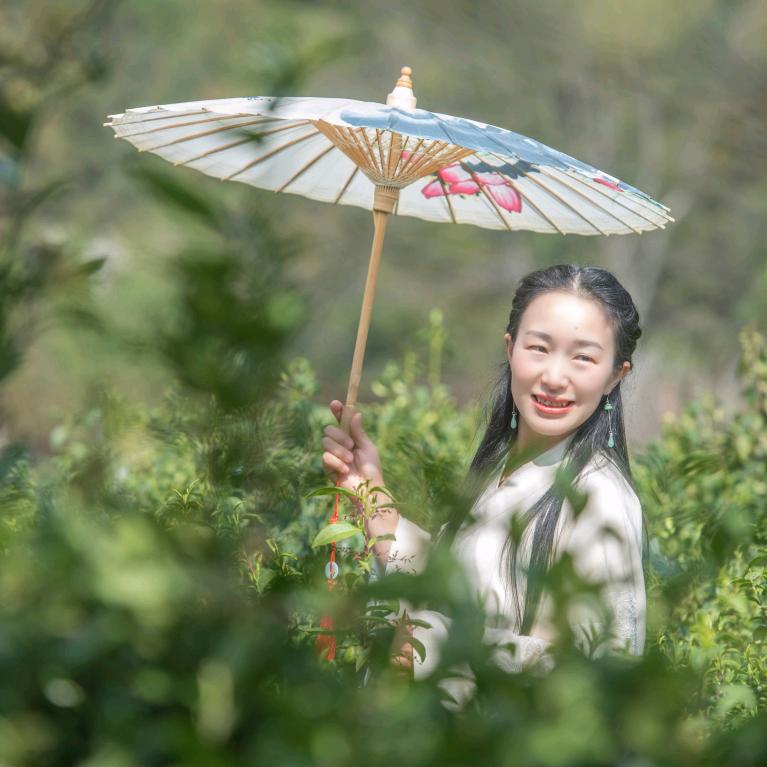 玉兰🍃茶生活
