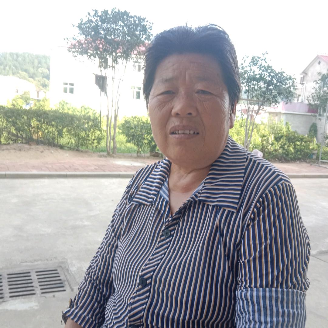 许怀情