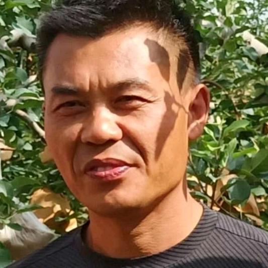 唐老师果树管理·全中农业