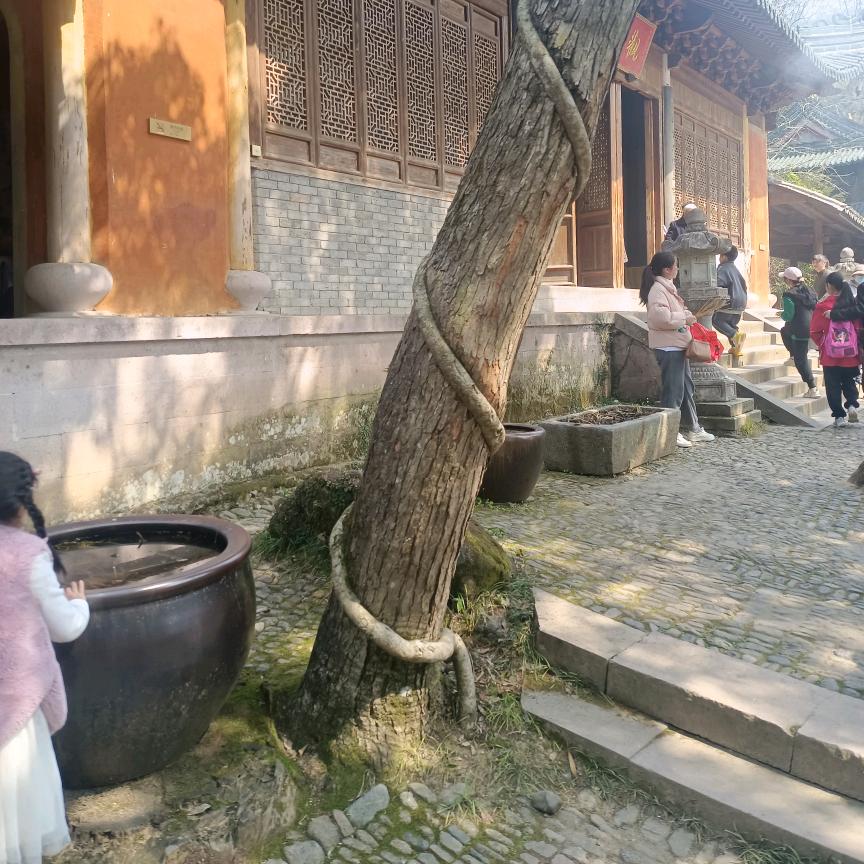 留债不留发