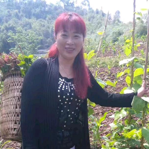 桃花姐好物