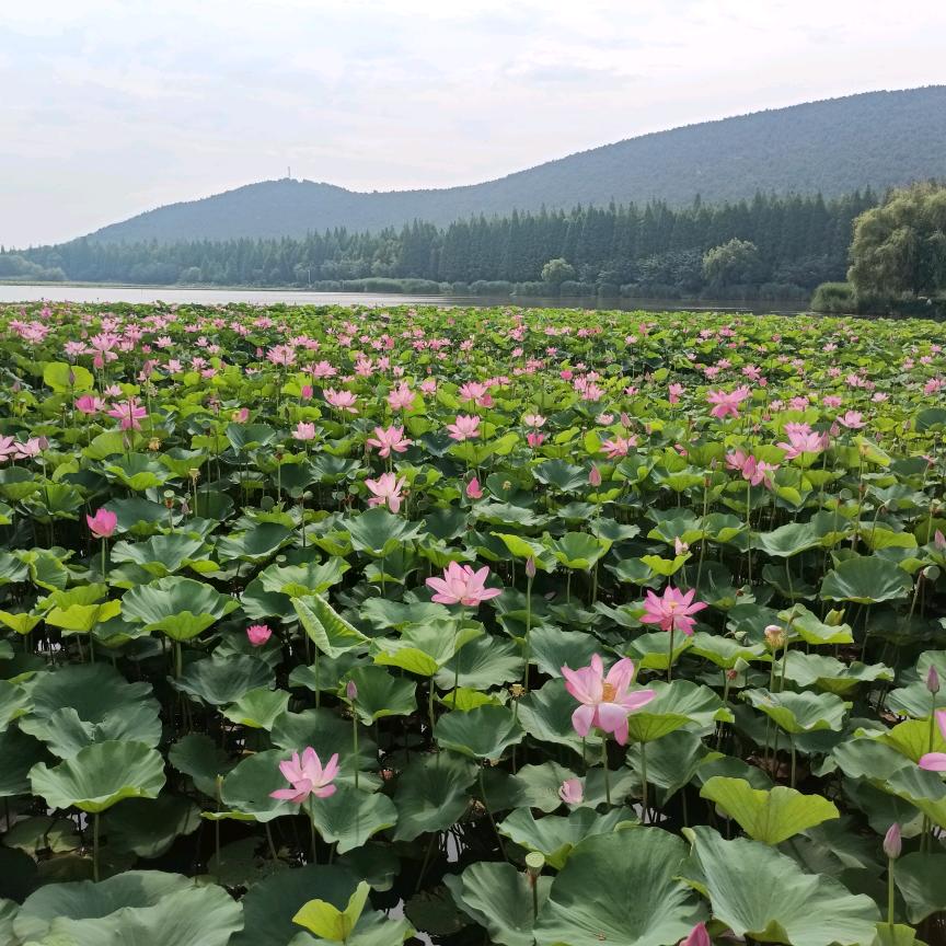 淮海印象
