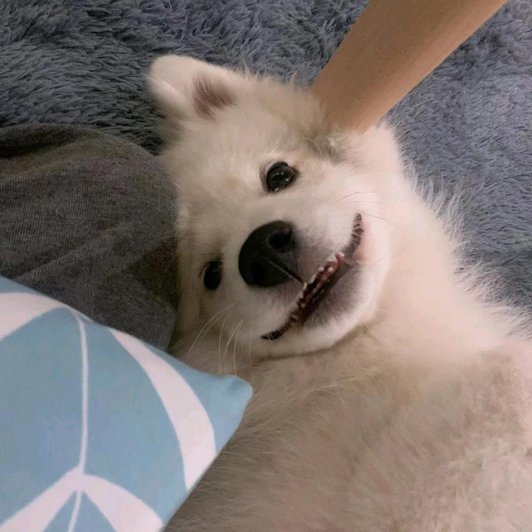 寒凌初