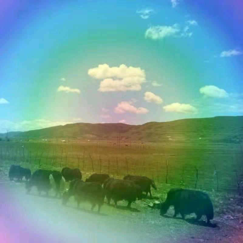 ℡⃢👁-👁⃢⁵²⁰¹³¹⁴