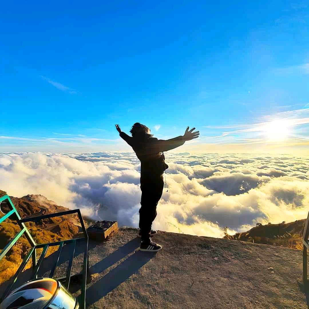 自由  贩卖日落