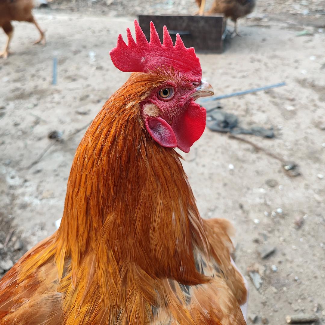 大 A 市场～ 大叔