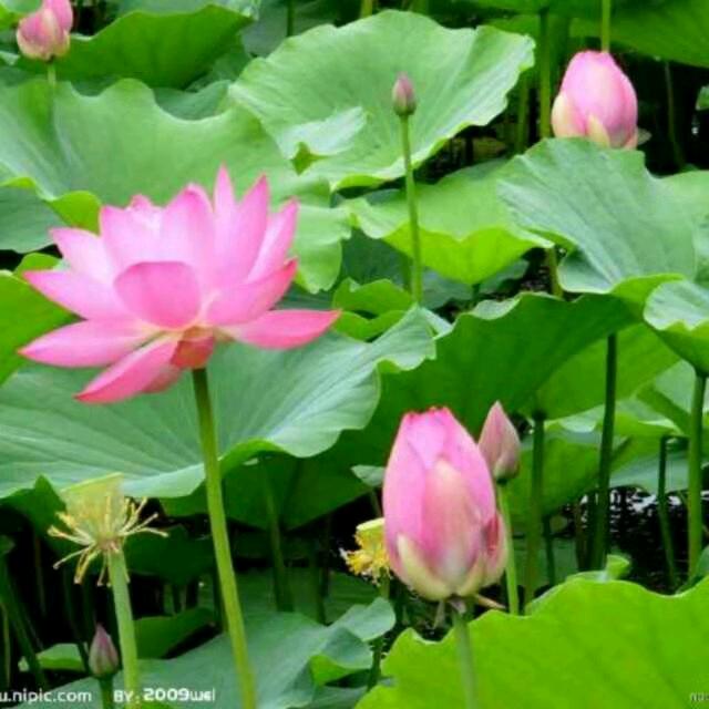 幸福每一天^_^🍻🍻