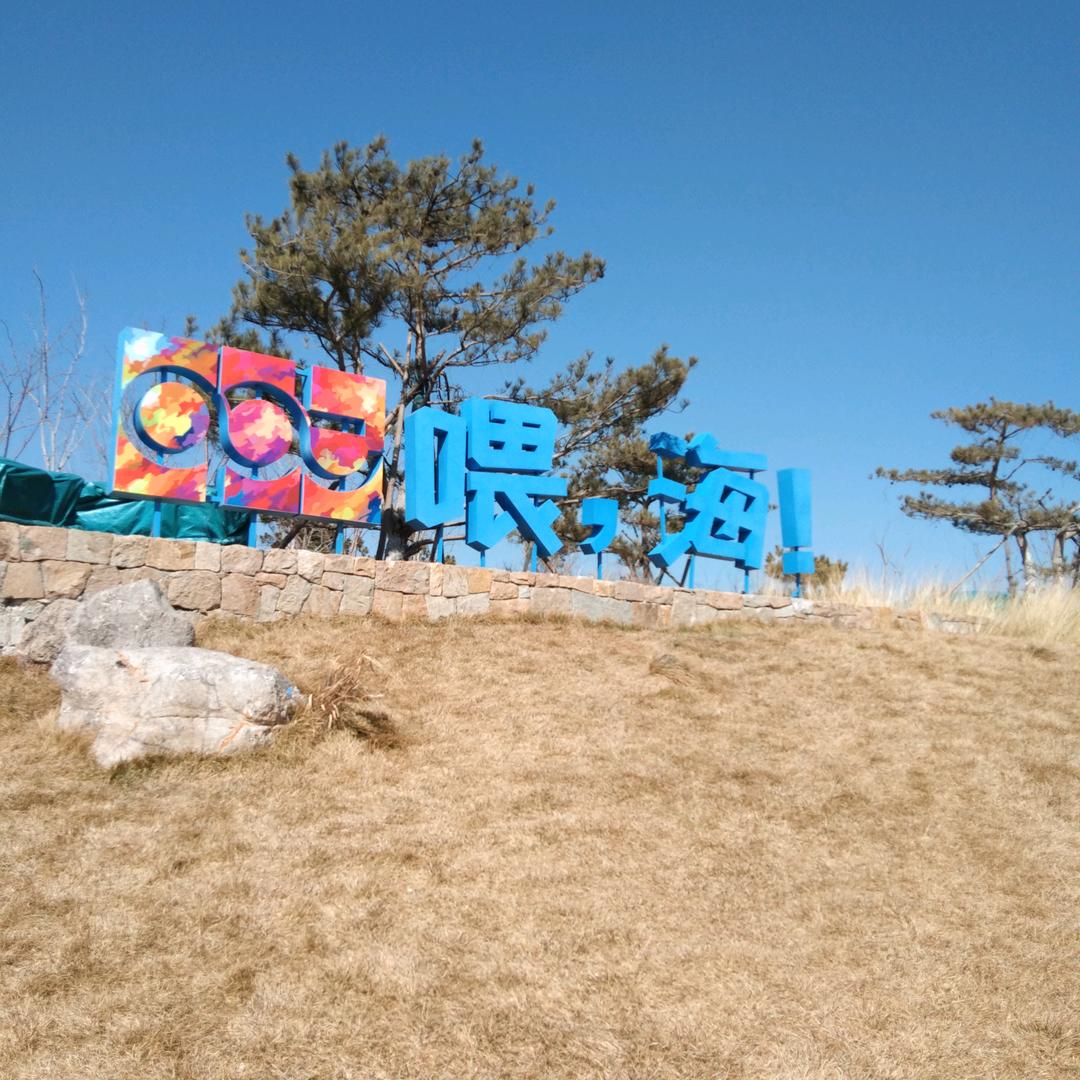 周大皮