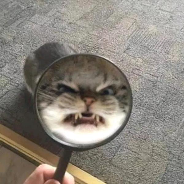 未月