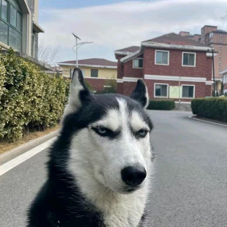 东O.o