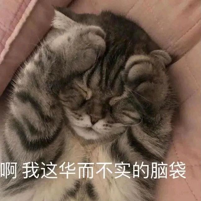 陈茜茜