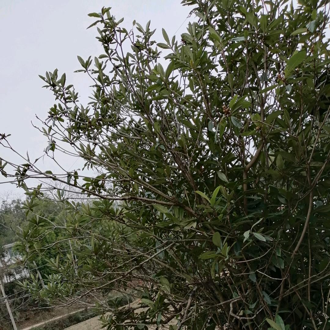 背着小可爱跑