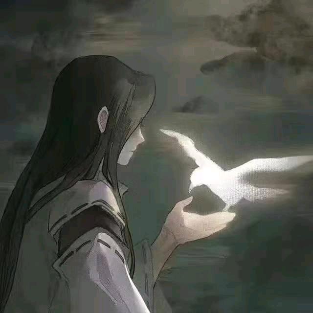 春花秋实