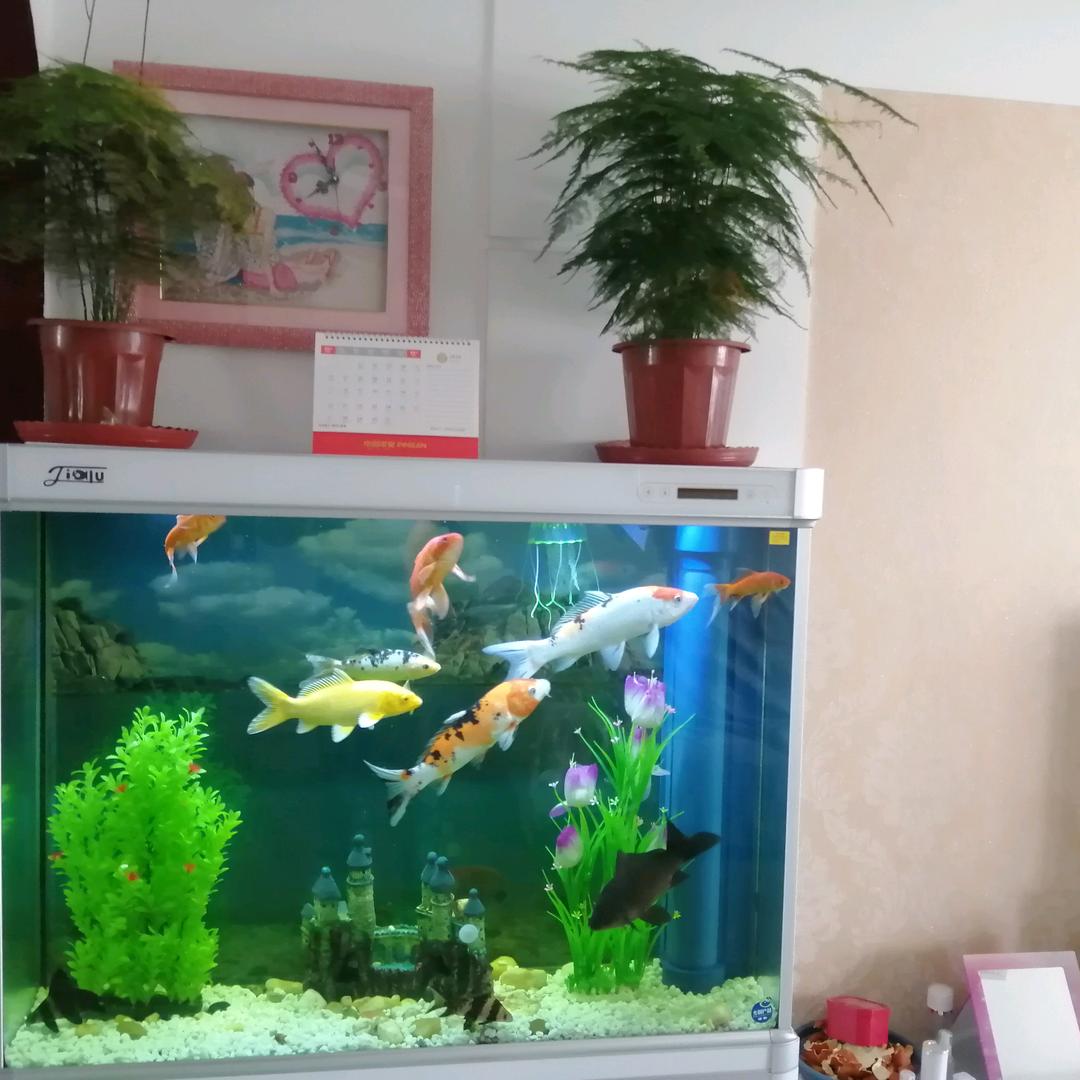 广哥