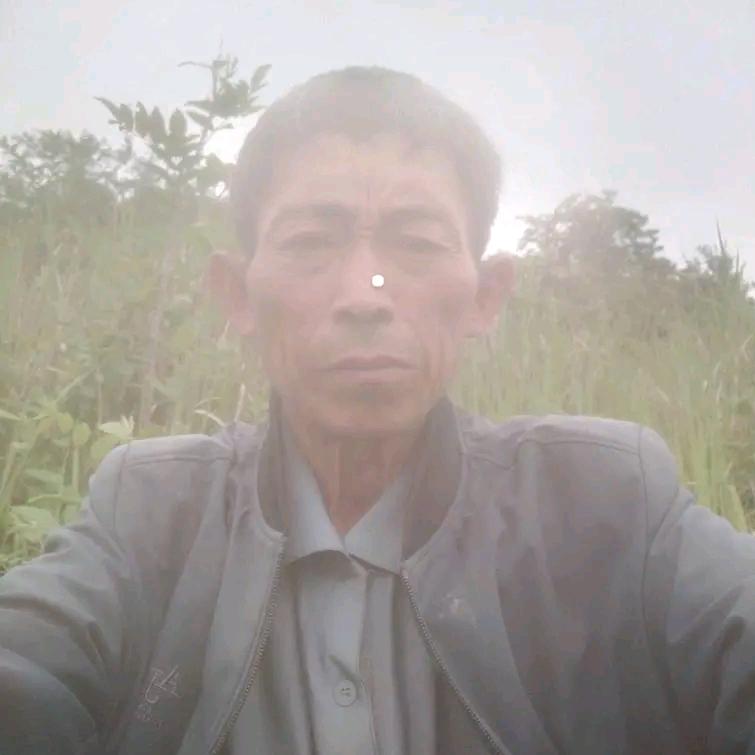 找个伴