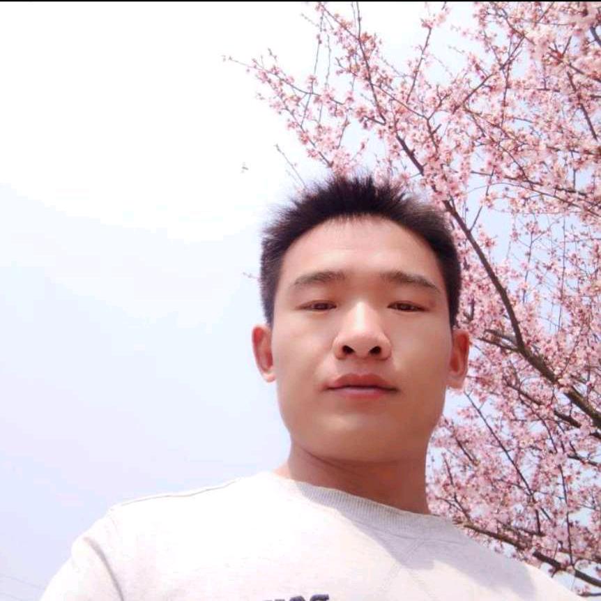 一只孤雁
