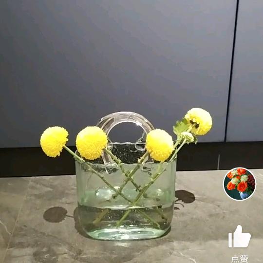 冬天的橡胶树