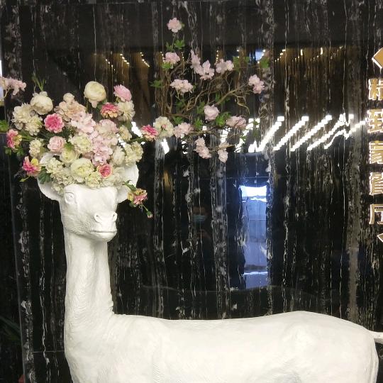 康巴什白鹿精致蒙餐