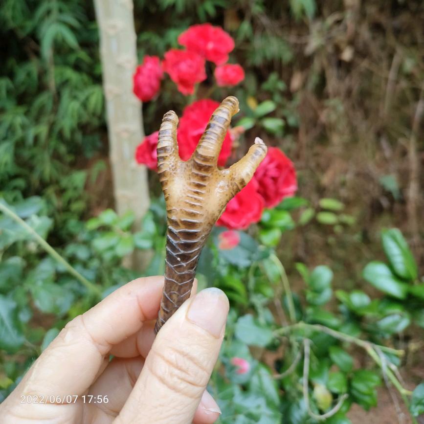 月嫂（请勿点赞）