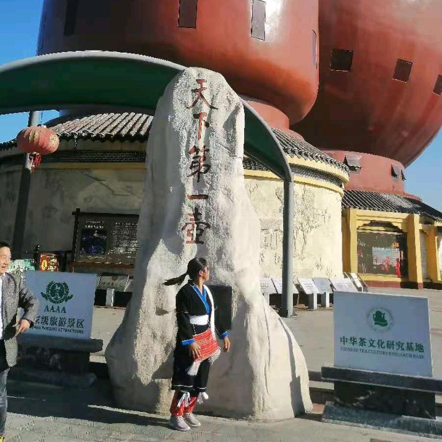 太阳花