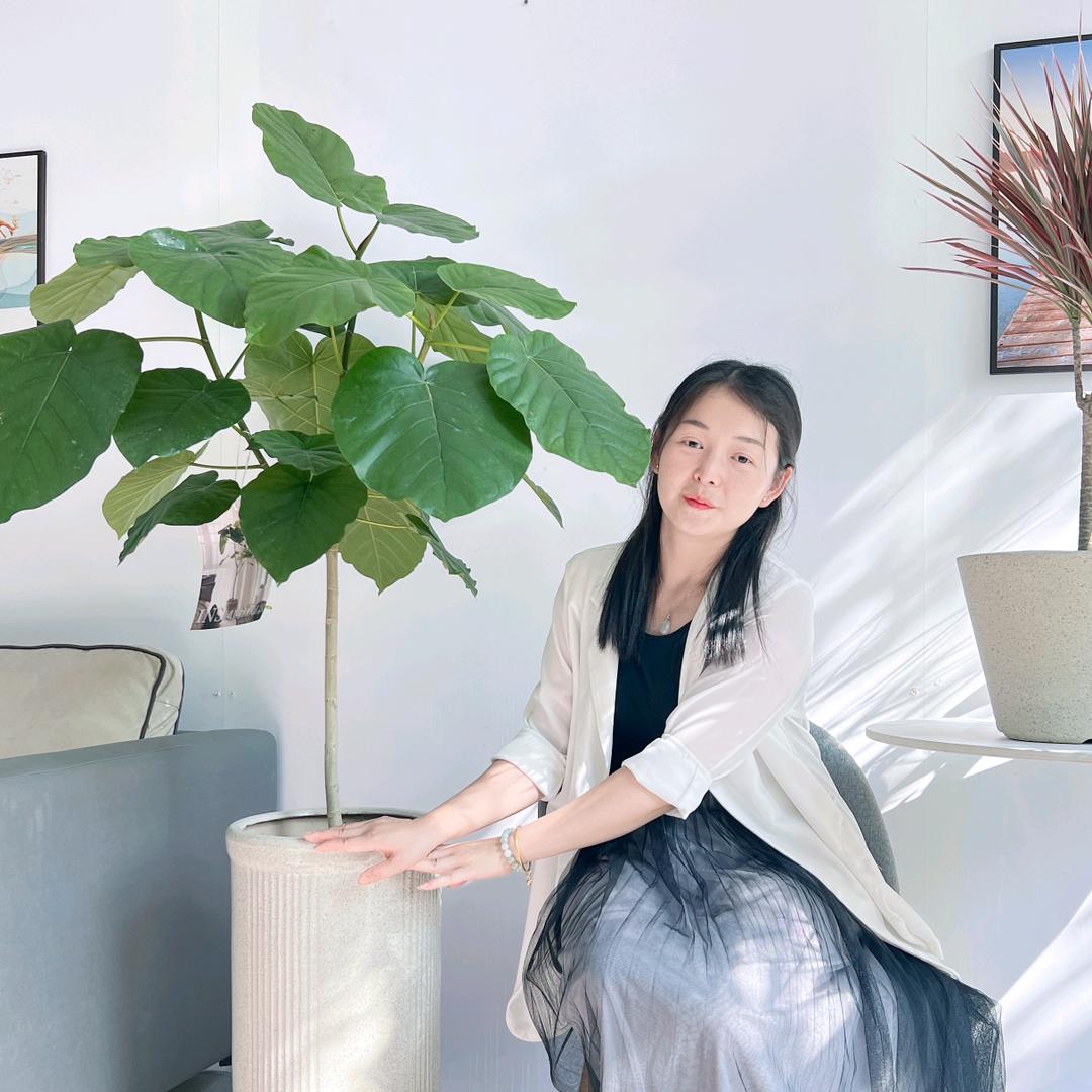金叶子花卉