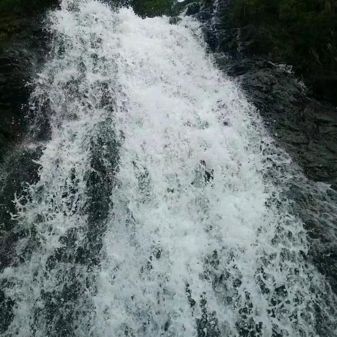 皮^O^蛋，瘦☞肉☜周