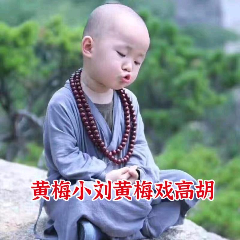 黄梅小刘琴坊（刘丛三高胡）