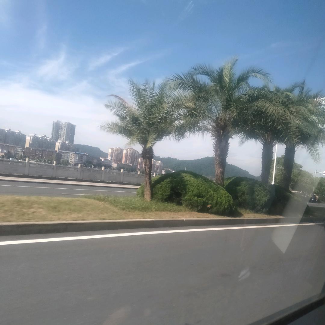 ~清风暖阳