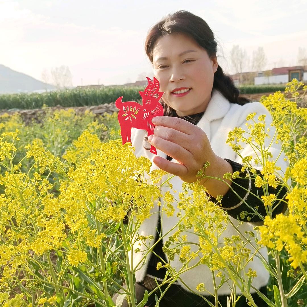 梅花手绘