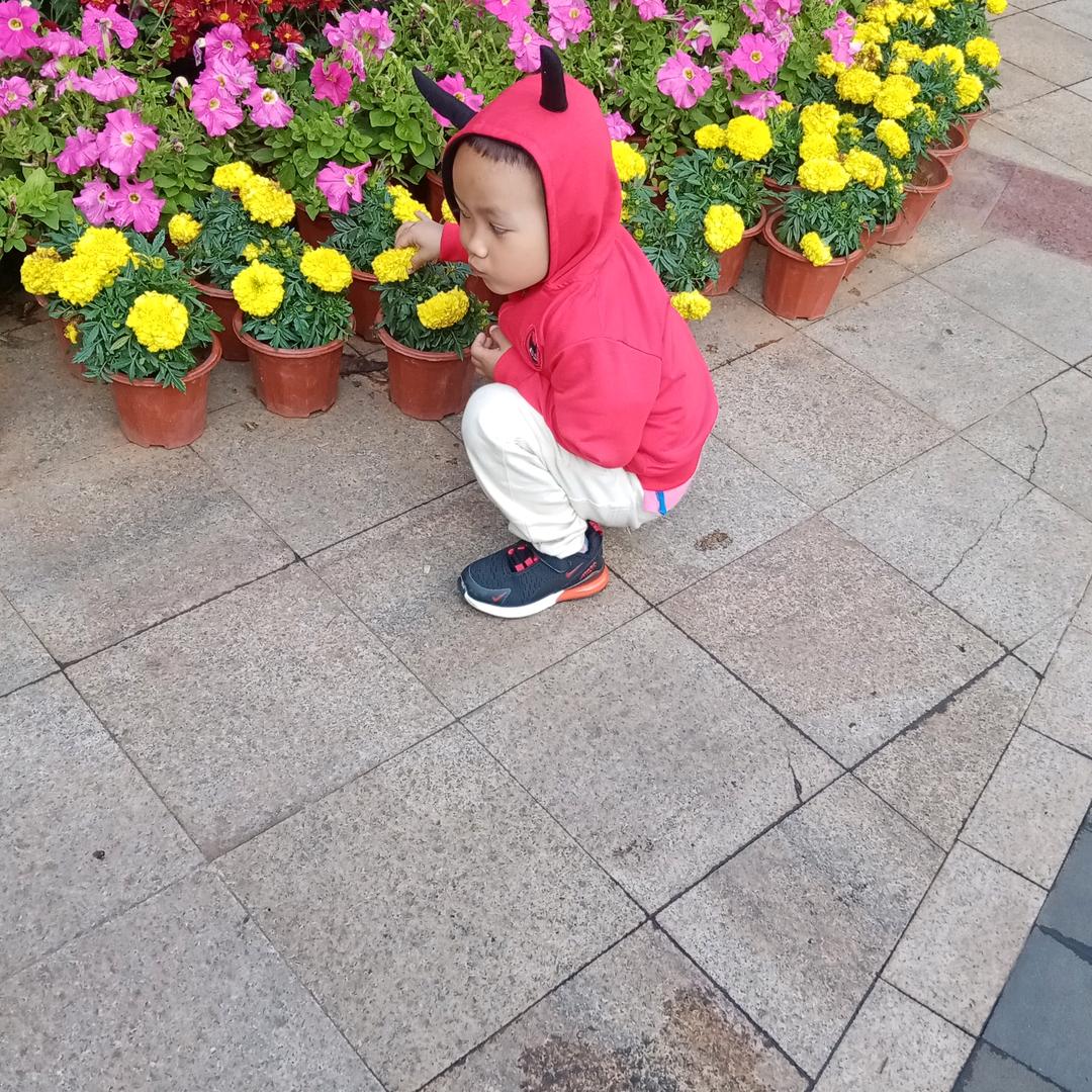 路哥