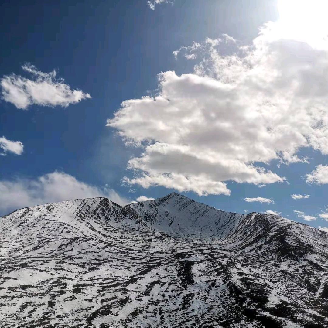 协和#学历教育#♡蓉姐