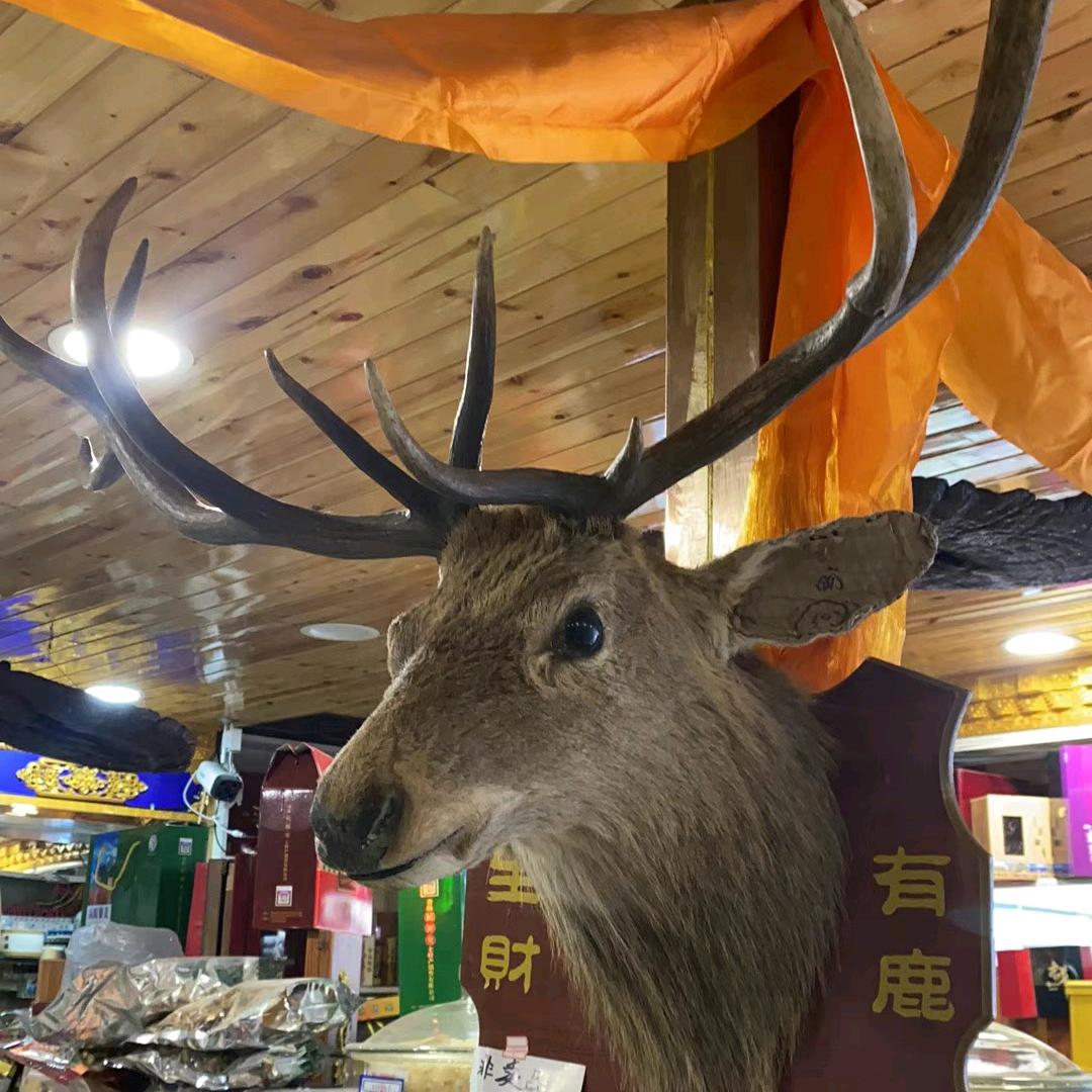 糖果  糖豆