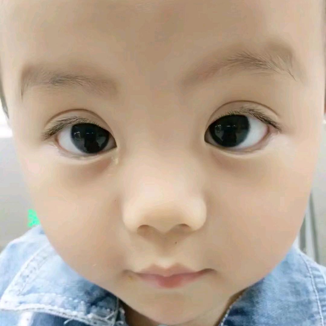 小蚂蚁