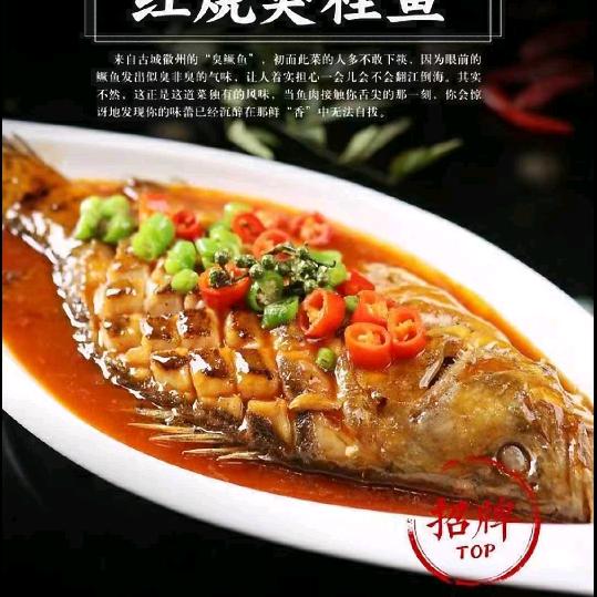 阿康老九堂