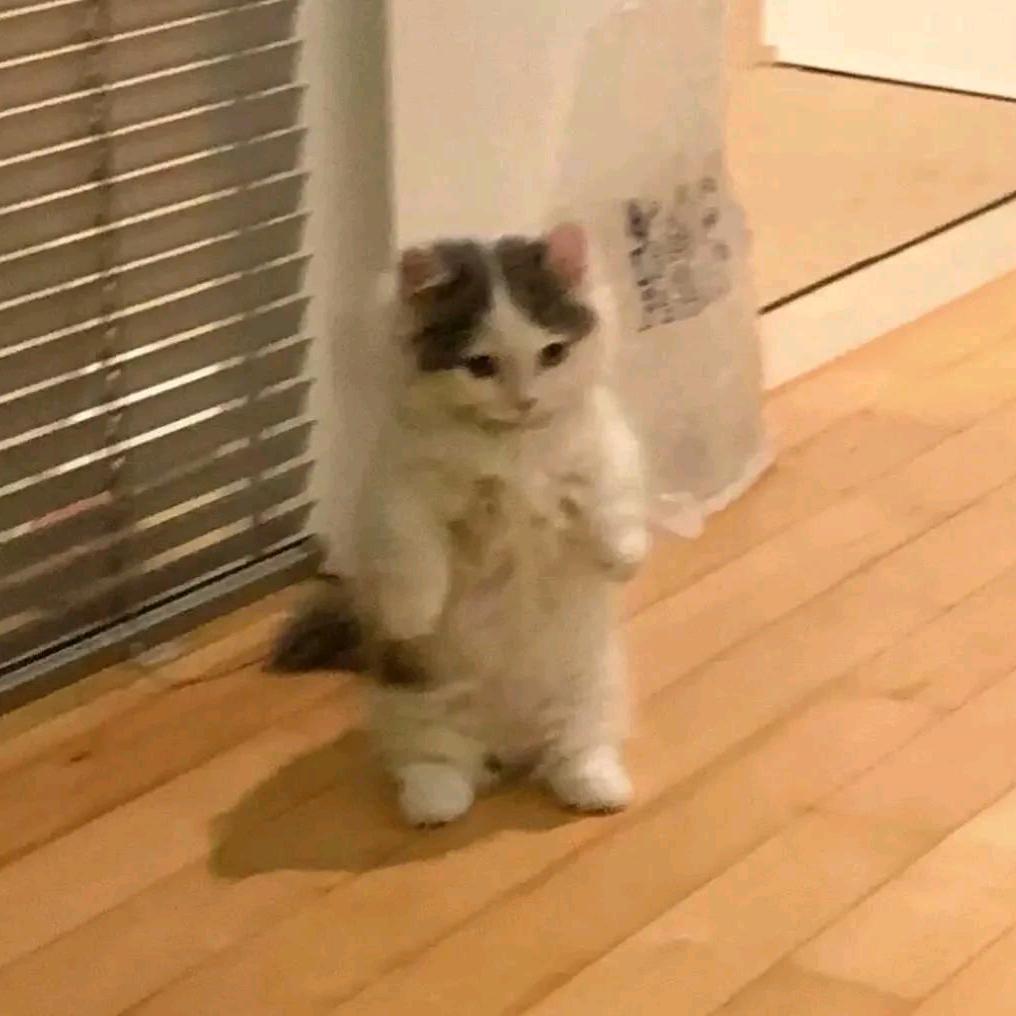 mc李相赫