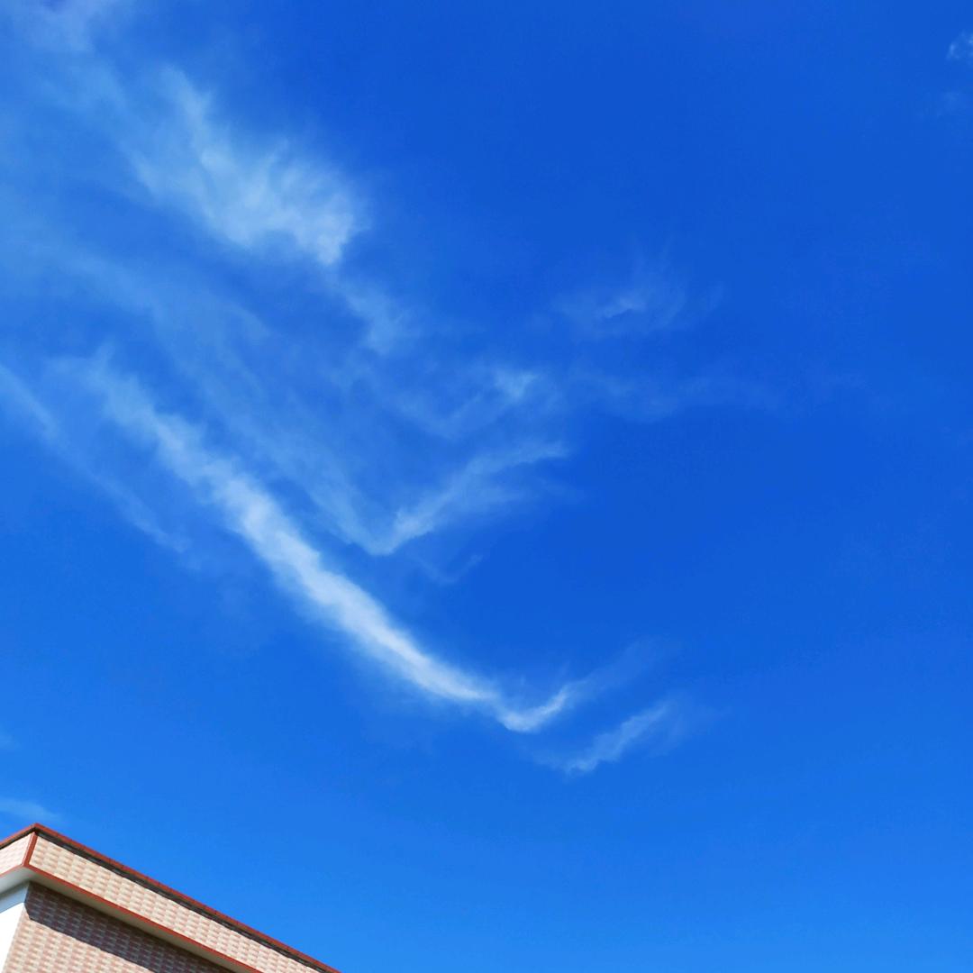 珍