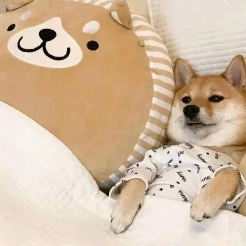 ￴ ￴￴ ￴￴￴ ￴￴ ￴￴