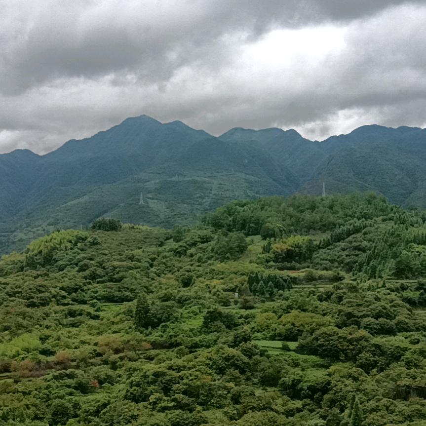 D同学